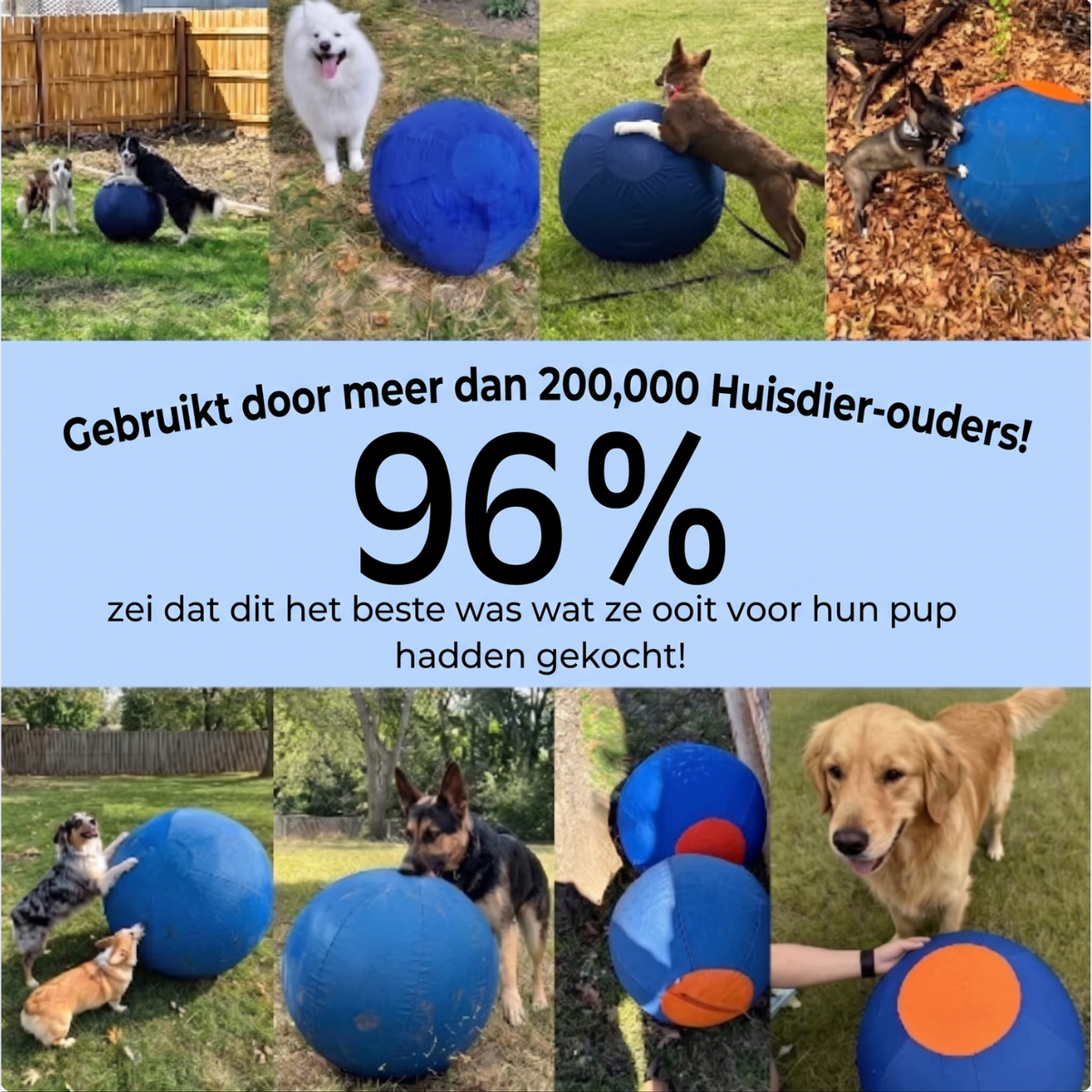 HerdPro™ Hoedebal voor Honden