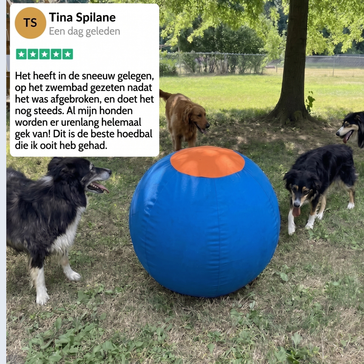 HerdPro™ Hoedebal voor Honden
