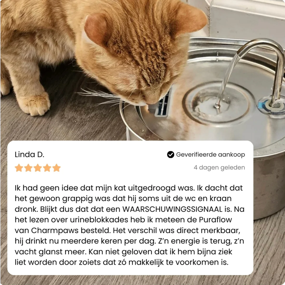 AquaPurr™ RVS Drinkfontein voor Katten