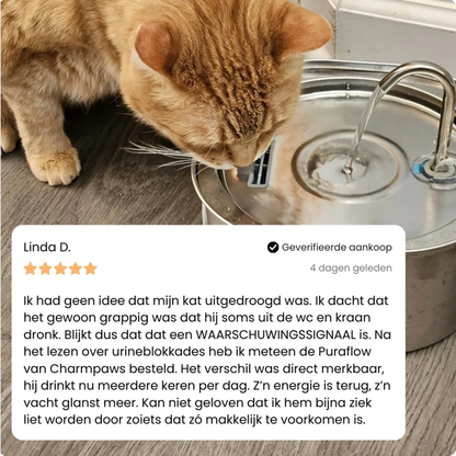 AquaPurr™ RVS Drinkfontein voor Katten