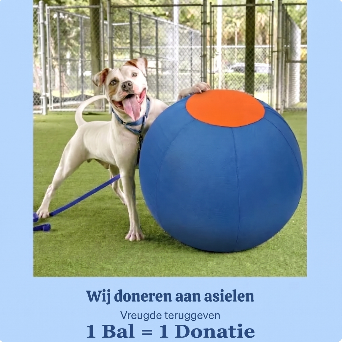 HerdPro™ Hoedebal voor Honden