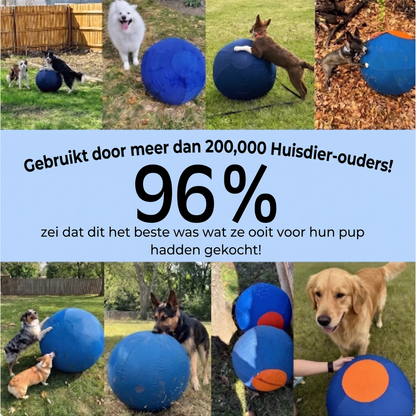 HerdPro™ Hoedebal voor Honden